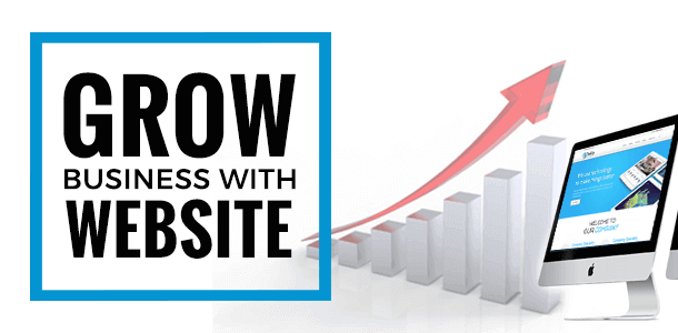 How a Website Can Grow Your Business?